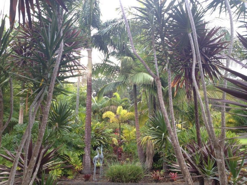 559 Cooroy Noosa Rd, Tinbeerwah QLD 4563