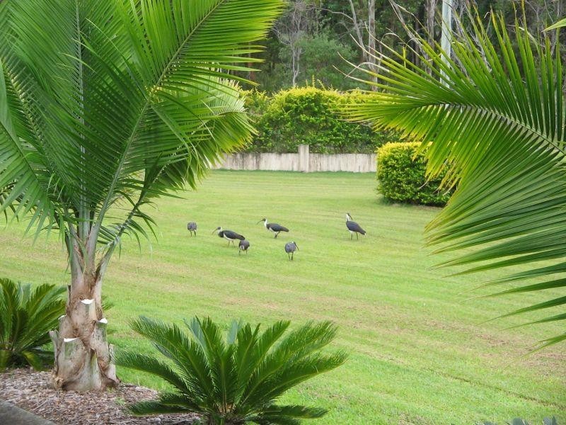 559 Cooroy Noosa Rd, Tinbeerwah QLD 4563