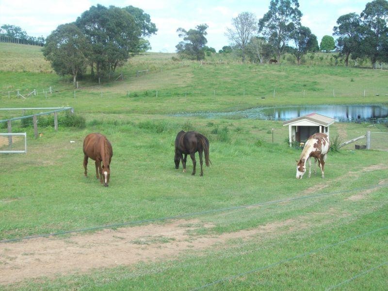 35 Brooks Road, Canina QLD 4570