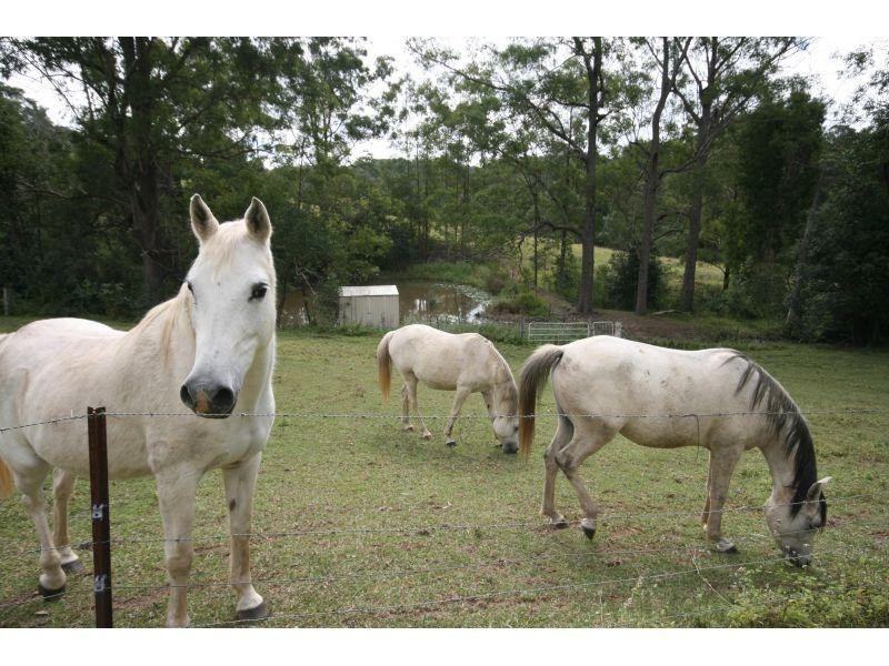 751 Old Goomboorian Road, Canina QLD 4570