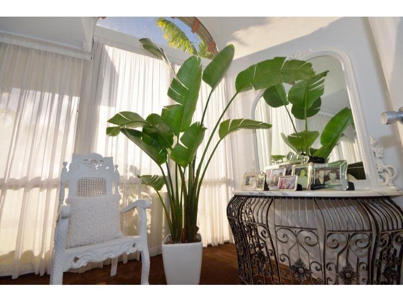 3/23 Noosa Parade, Noosa Heads QLD 4567