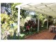29 Elanora Tce, Noosa Heads QLD 4567