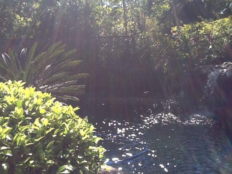 16 River Road, Tewantin QLD 4565