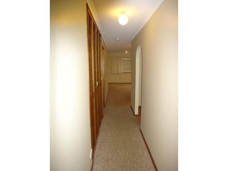 19 Cobham Street, Tewantin QLD 4565