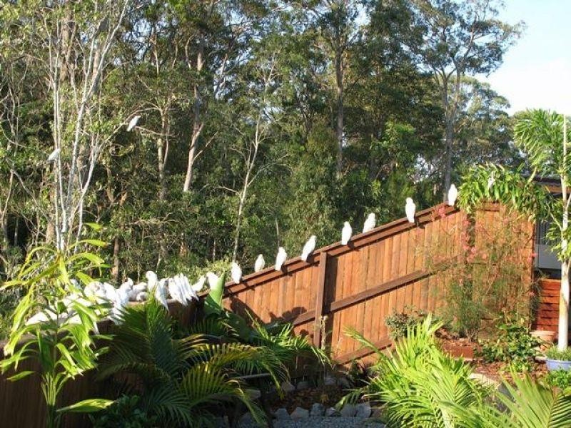 5 Pardon Place, Noosaville QLD 4566