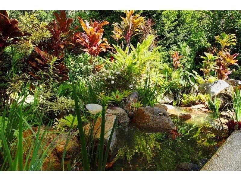 1 Sittella Court, Noosa Heads QLD 4567