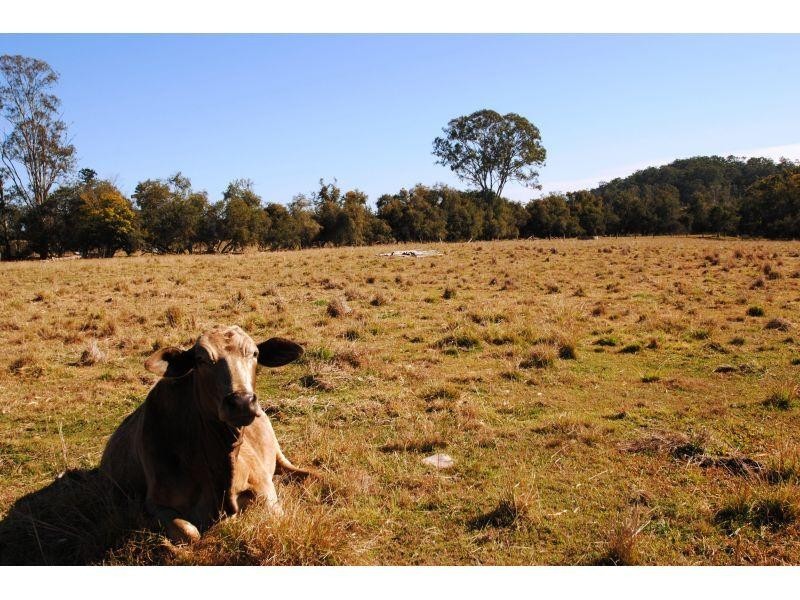 1296 Harvey Siding Road, Curra QLD 4570