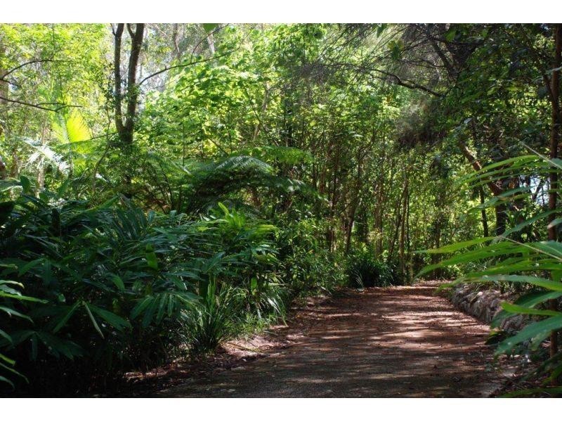 25 Banksia Avenue, Noosa Heads QLD 4567