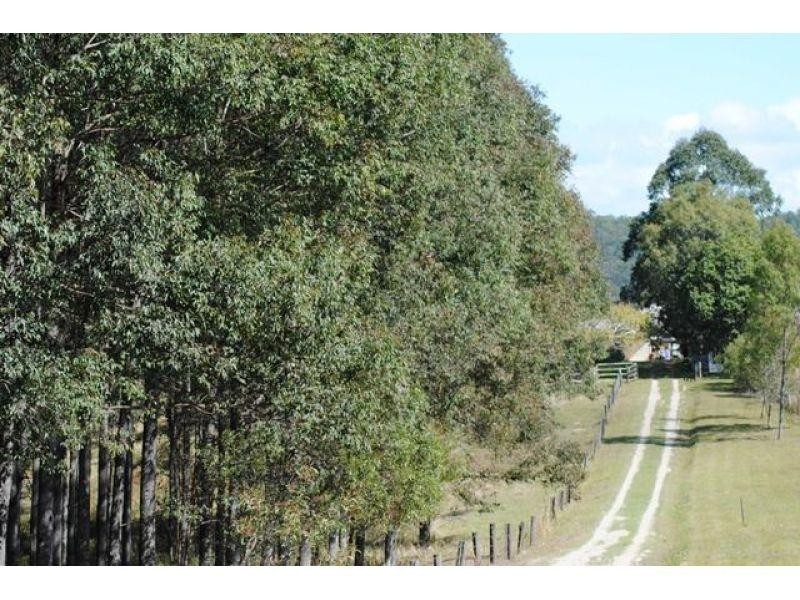 559 Woondum Road, Mothar Mountain QLD 4570