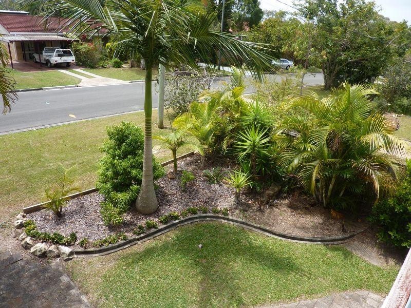 6 Joyce Street, Tewantin QLD 4565