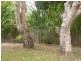 6 Joyce Street, Tewantin QLD 4565
