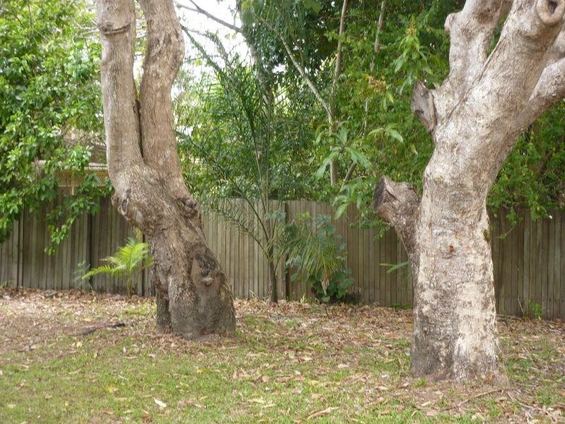 6 Joyce Street, Tewantin QLD 4565