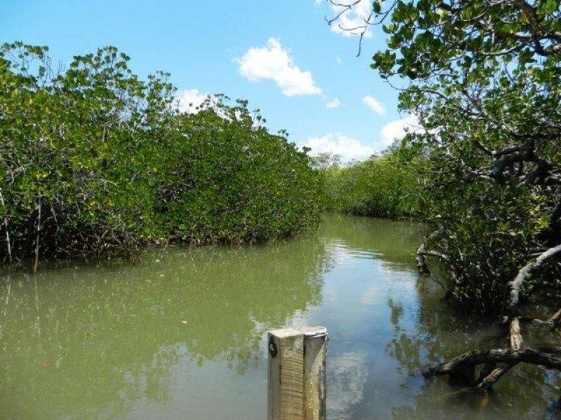 3 Stephen St, Tewantin QLD 4565