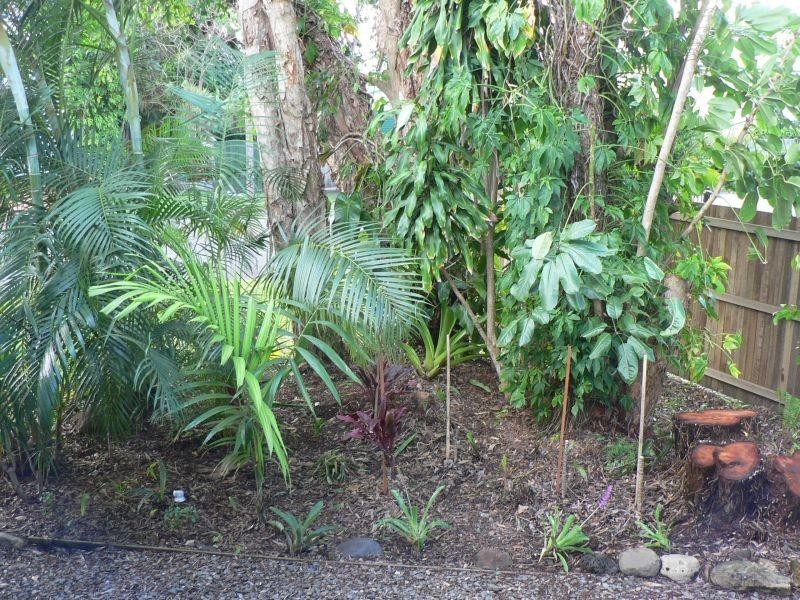 3 Laburnum Cres, Noosaville QLD 4566