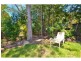 113 Hendry St, Tewantin QLD 4565