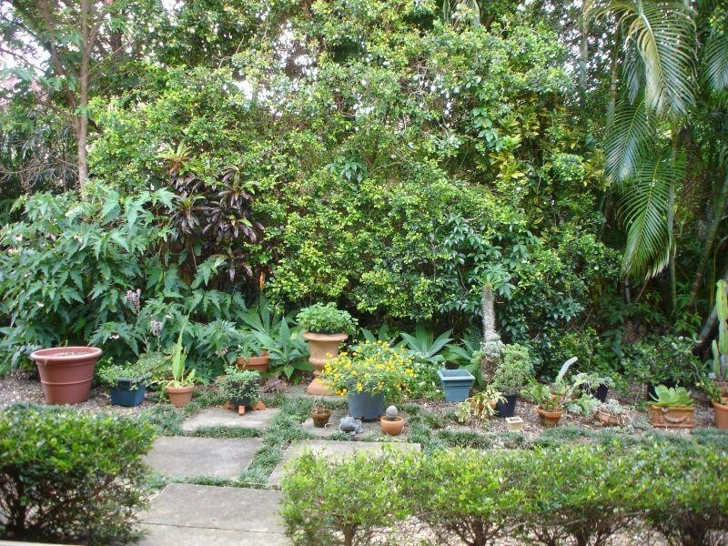 10  John Street, Tewantin QLD 4565