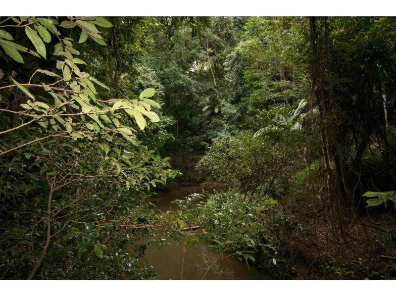 189 Kildeys Road, Cootharaba QLD 4565