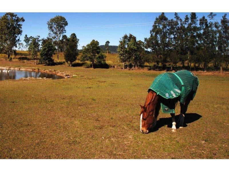 10 Jum Jum Court, Lower Wonga QLD 4570