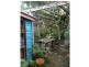 56 Laguna Street, Boreen Point QLD 4565