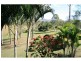 60 Lower Wonga Hall Road, Lower Wonga QLD 4570