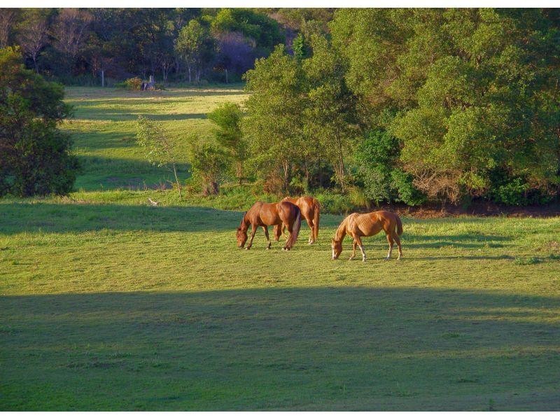 58 Aural Vale Road, North Deep Creek QLD 4570