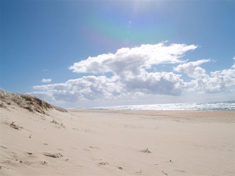 8/528  David Low Way, Castaways Beach QLD 4567