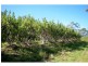 67  Amamoor-Dagun Rd, Amamoor QLD 4570