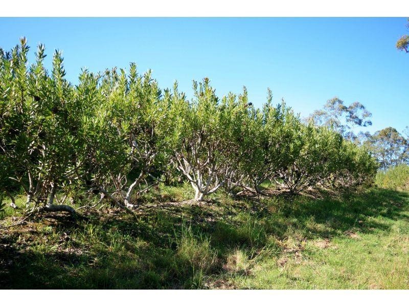 67 Amamoor-Dagun Rd, Amamoor QLD 4570