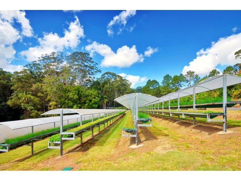 1114 Eumundi Noosa Road, Verrierdale QLD 4562