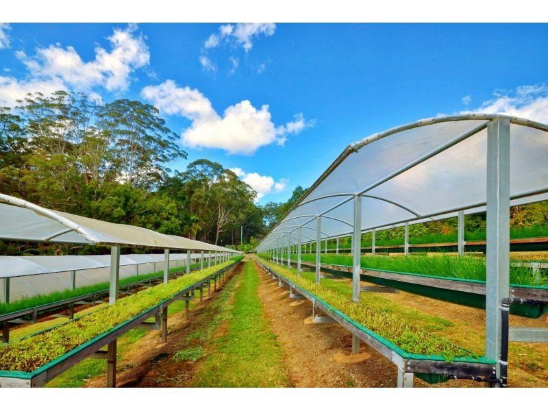 1114 Eumundi Noosa Road, Verrierdale QLD 4562