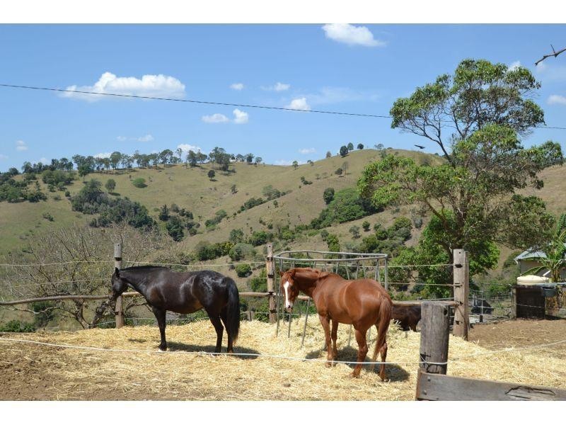 109 Fishermans Pocket Road, Chatsworth QLD 4570