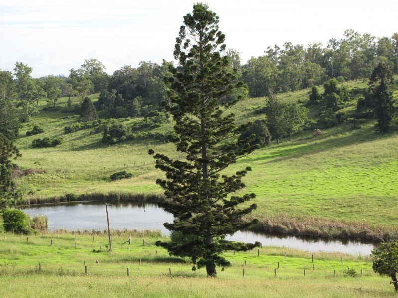 47 Collard Road, Mooloo QLD 4570