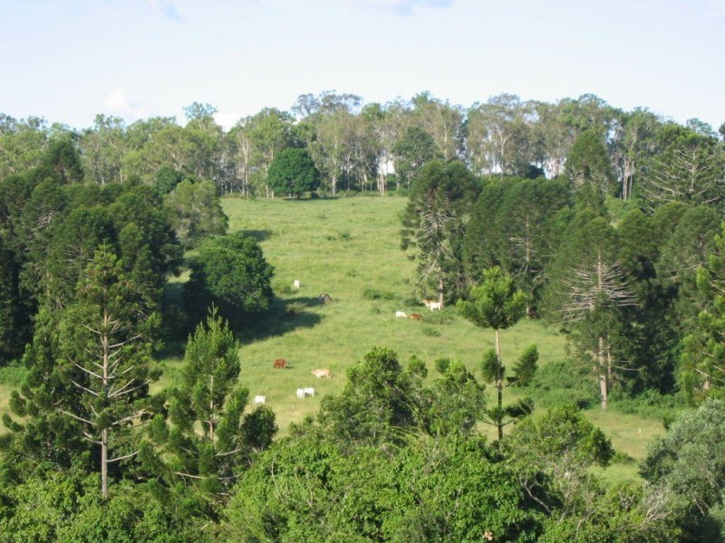 47 Collard Road, Mooloo QLD 4570