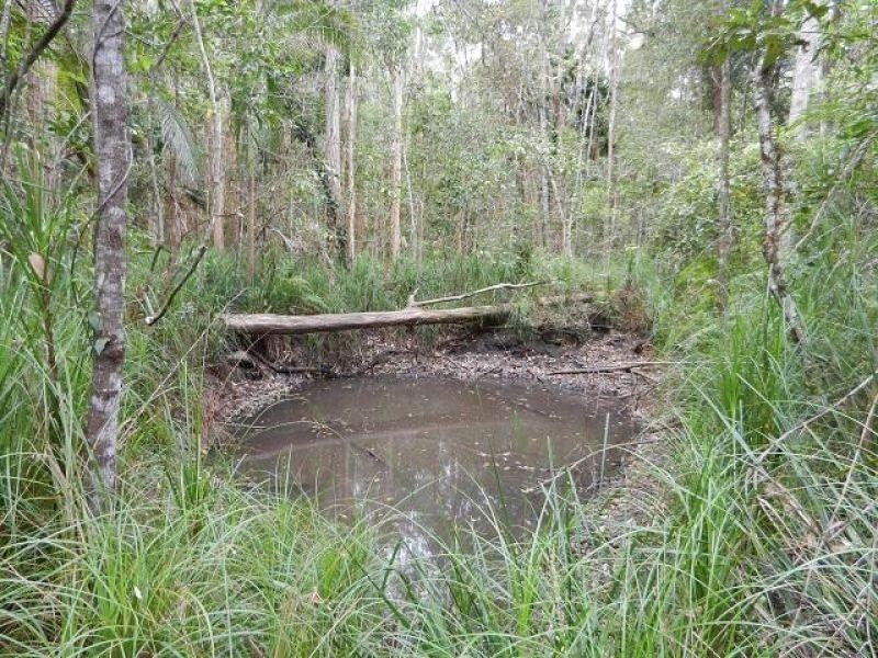 79 Kildeys Road, Cootharaba QLD 4565