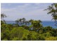 3/36 Alderly Terrace, Noosa Heads QLD 4567