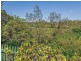 39 Tait Street, Tewantin QLD 4565