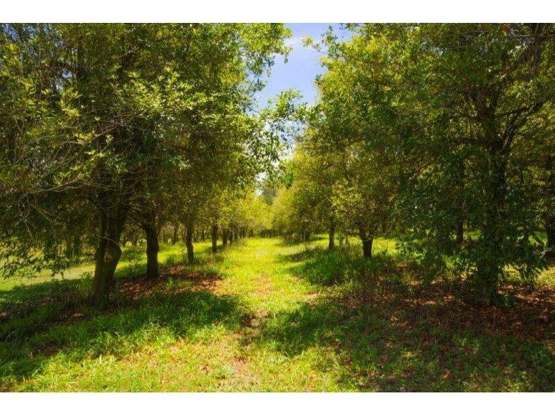 189 Kildeys Road, Cootharaba QLD 4565