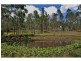 295 Eel Creek Road, Pie Creek QLD 4570