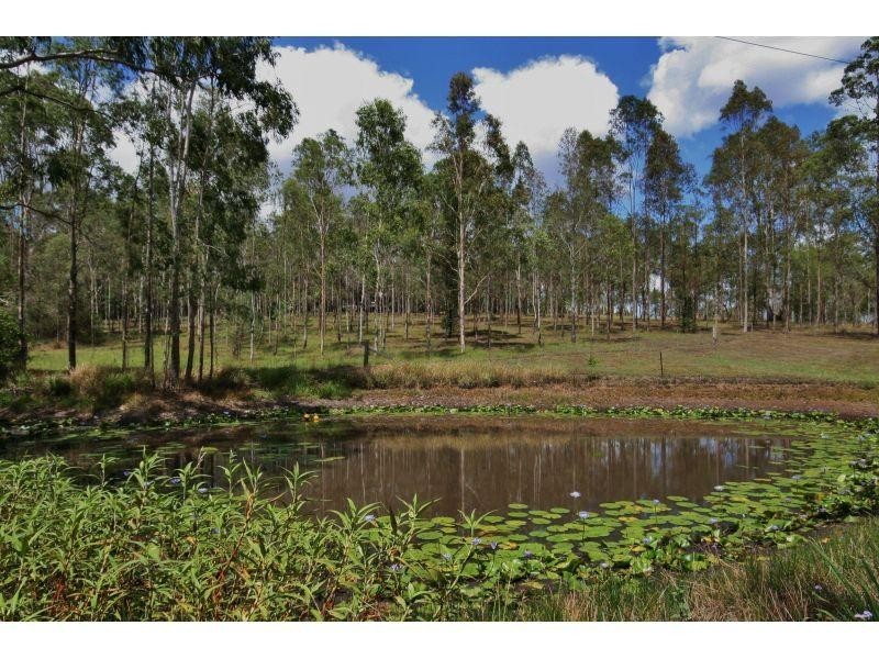 295 Eel Creek Road, Pie Creek QLD 4570