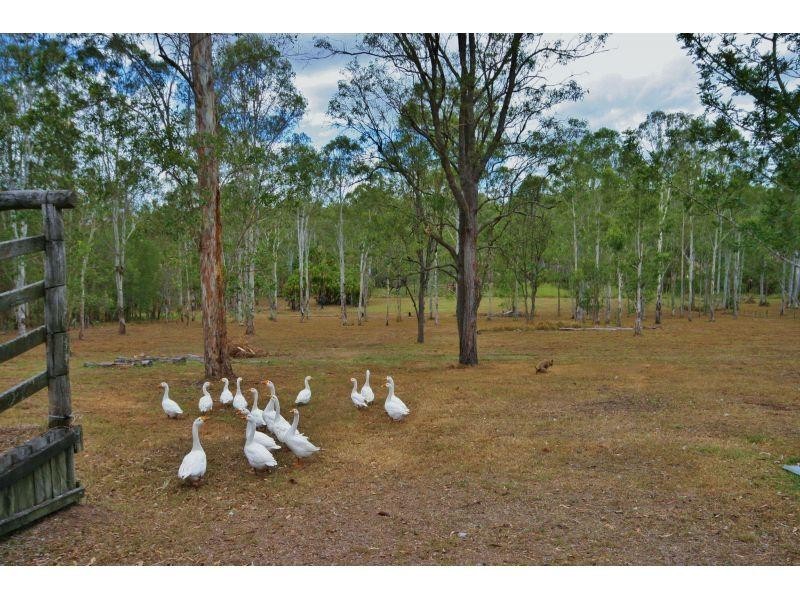 110 Jimbour Road, The Palms QLD 4570