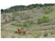183 Robinson Road, Calico Creek QLD 4570