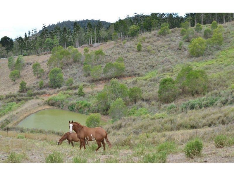 183 Robinson Road, Calico Creek QLD 4570