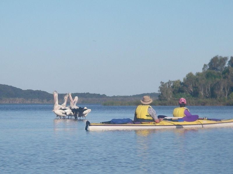 23 Vista Street, Boreen Point QLD 4565