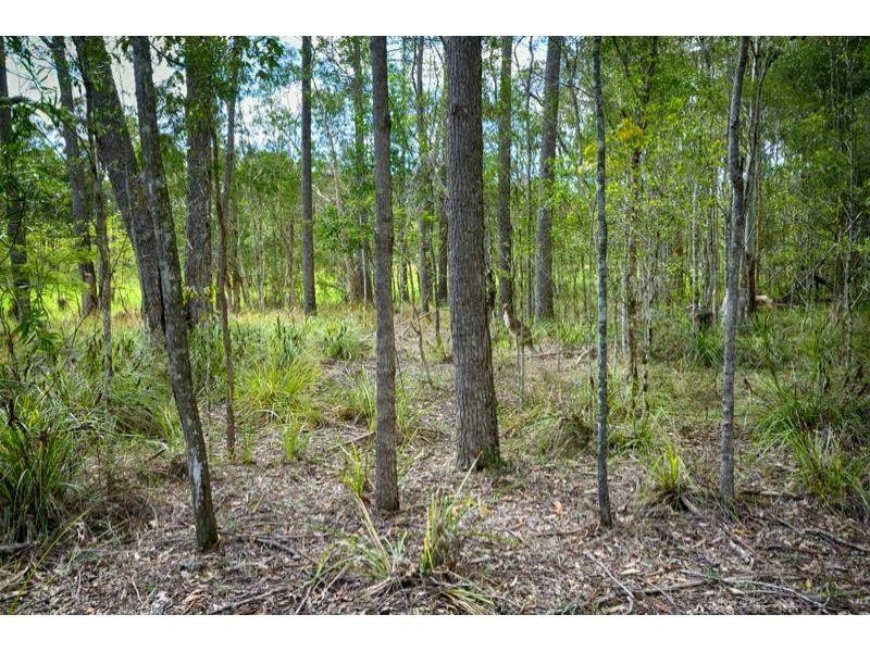 18 Dandaloo Lane, Cootharaba QLD 4565