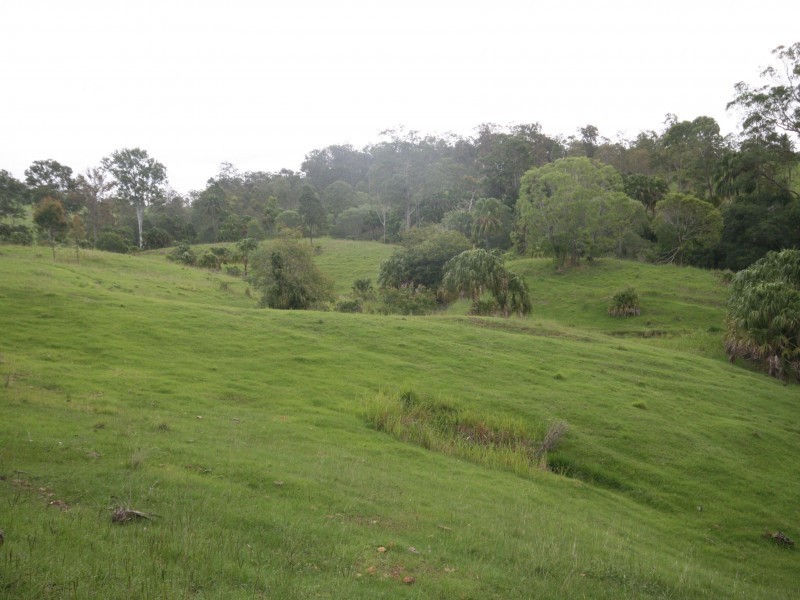 559 Rocks Road, Pie Creek QLD 4570