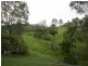 559 Rocks Road, Pie Creek QLD 4570