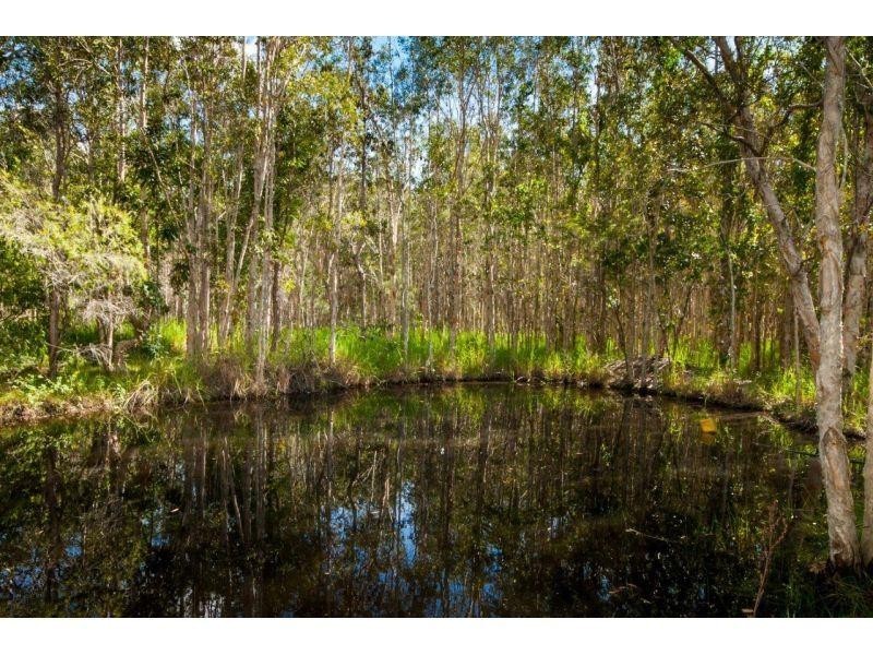 61 Carriage Way, Cooroibah QLD 4565