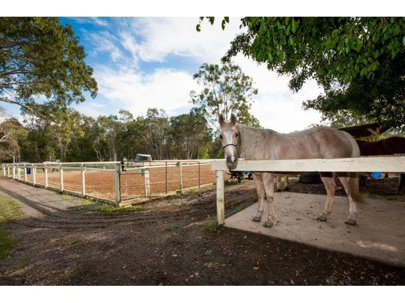 15 Yatama Place, Cooroibah QLD 4565