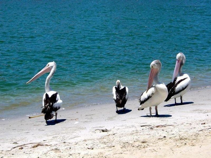 32 / 12 Robert Street, Noosaville QLD 4566