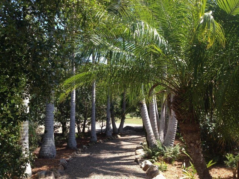 56 Woodhaven Way, Cooroibah QLD 4565